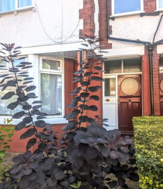 8 Birchfields Avenue